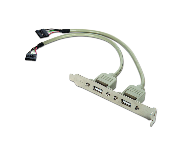 Gembird Gniazdo USB X2 na sledziu (CCUSBRECEPTACLE)