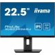 Monitor 22.5 cala XUB2395WSU-B5 IPS,PIVOT,1920x1200,DP,HDMI,VGA,16:10,2xUSB,2x2W,Freesync,HAS(150mm)-3491774